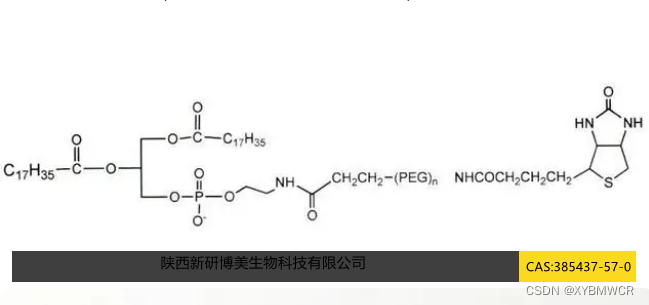 磷脂PEG衍生物Biotin-PEG-DSPE,生物素PEG磷脂,CAS:385437-57-0