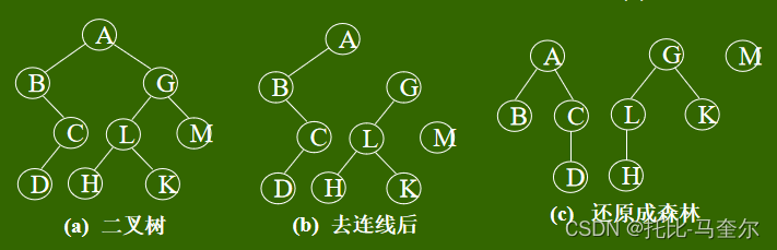 树和森林及哈夫曼树