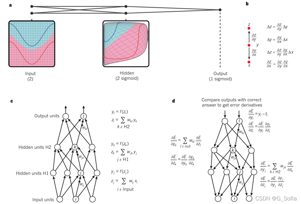 图1：多层神经网络和反向传播