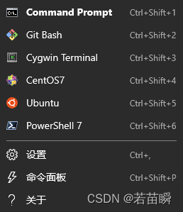 在这里插入图片描述