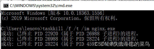 Windows下载安装Nignx