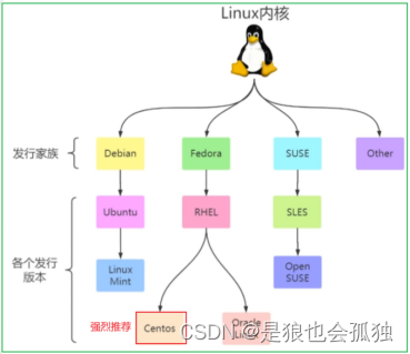 linux的搭建以及网关配置