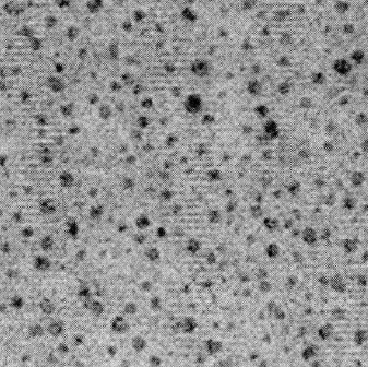 近红外二区水溶性硒化镉（CdSe）量子点，近红外二区量子点生物探针