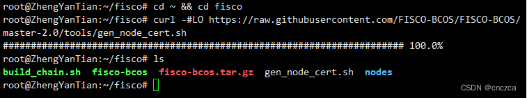 gen_node_cert.sh