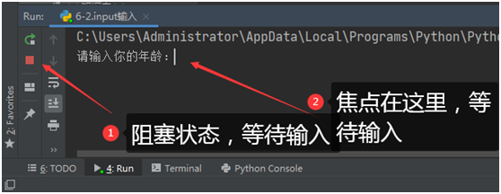 【100+ python基础入门-13】input()输入函数