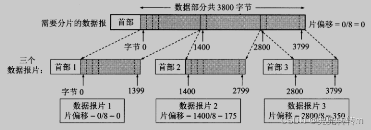 计算机网络-网络层