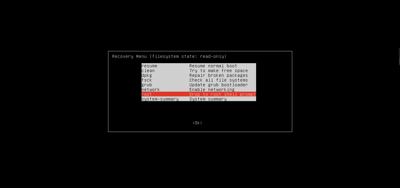 ubuntu reset passwd 5 recovery menu root.png