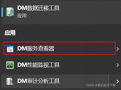 打开DM服务查看器