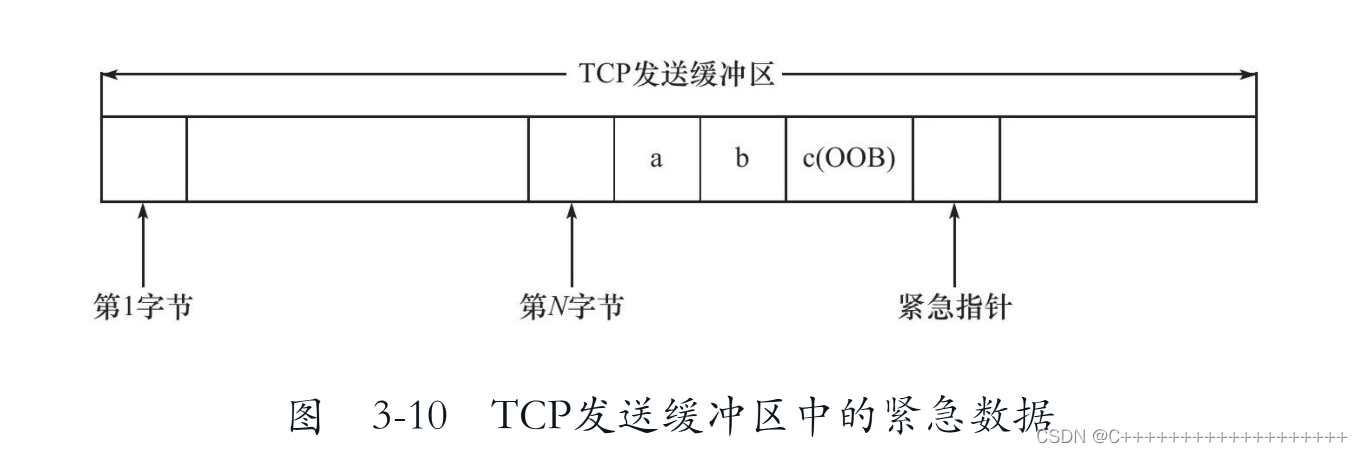 TCP发送缓冲区的紧急数据 https://img-blog.csdnimg.cn/383015e4d55646bdb2cf34b855aefc5f.png?x-oss-process=image/watermark,type_d3F5LXplbmhlaQ,shadow_50,text_Q1NETiBAQysrKysrKysrKysrKysrKysrKys=,size_20,color_FFFFFF,t_70,g_se,x_16