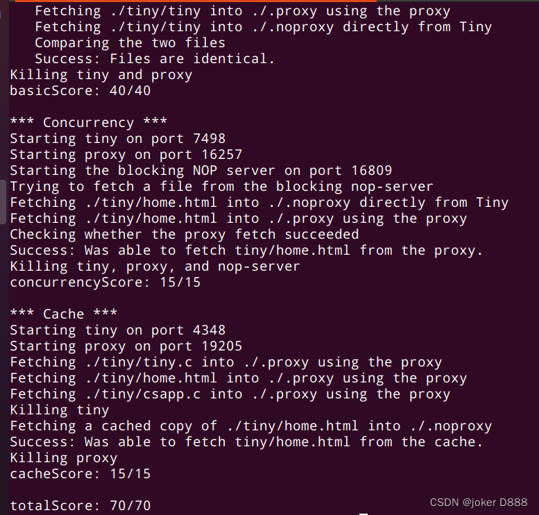 Proxy lab