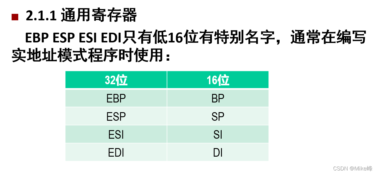 通用寄存器的一般位级表示