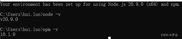 nvm安装node，查看npm版本报错