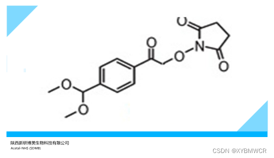 Acetal-NHS (SDMB)，乙缩醛-琥珀酰亚胺酯