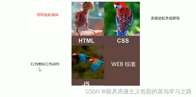 什么是HTML？