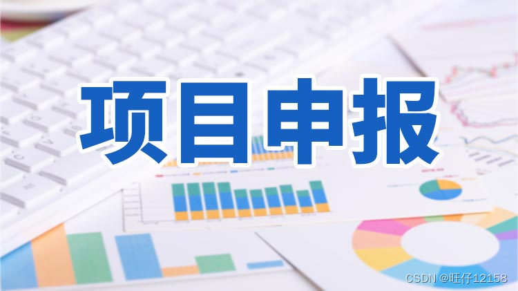 项目申报
