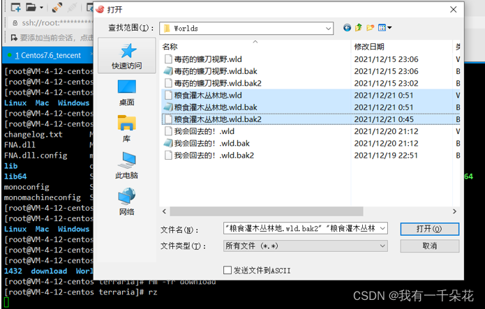 在这里插入图片描述