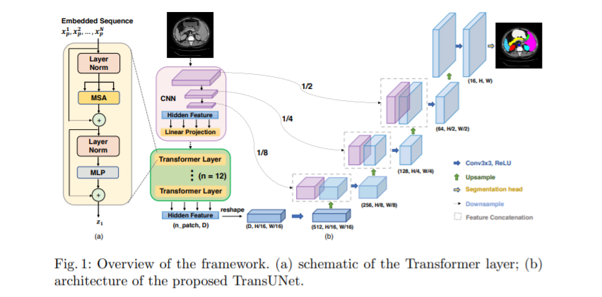 图像分割模型及架构选型介绍(MMSegmentation|sssegmentation等)