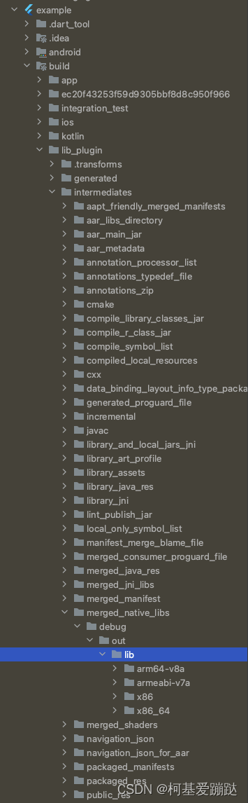 Flutter 直接调用so动态库，或调用C/C++源文件内函数