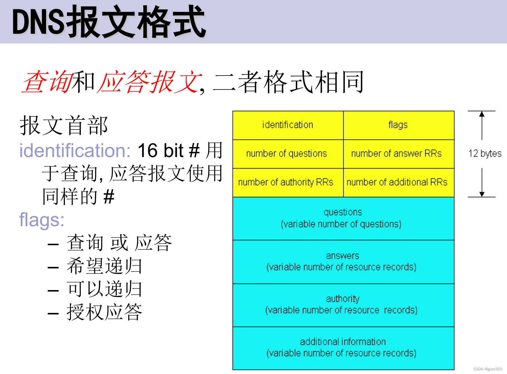 【计算机网络笔记】DNS报文格式