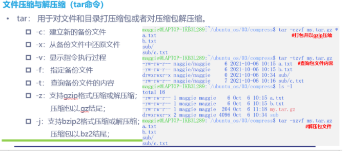 watermark,type_d3F5LXplbmhlaQ,shadow_50,text_Q1NETiBASU3msaTlp4blh6_nibk=,size_20,color_FFFFFF,t_70,g_se,x_16