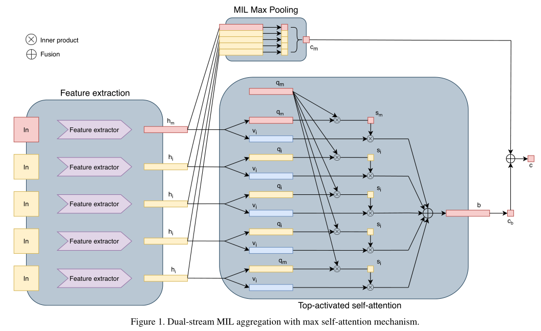 【论文泛读】2020A-Dual-stream Maximum Self-attention Multi-instance Learning ...