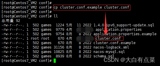 在 nacos/conf 目录下，将 cluster.conf.example 复制并重命名为 cluster.conf