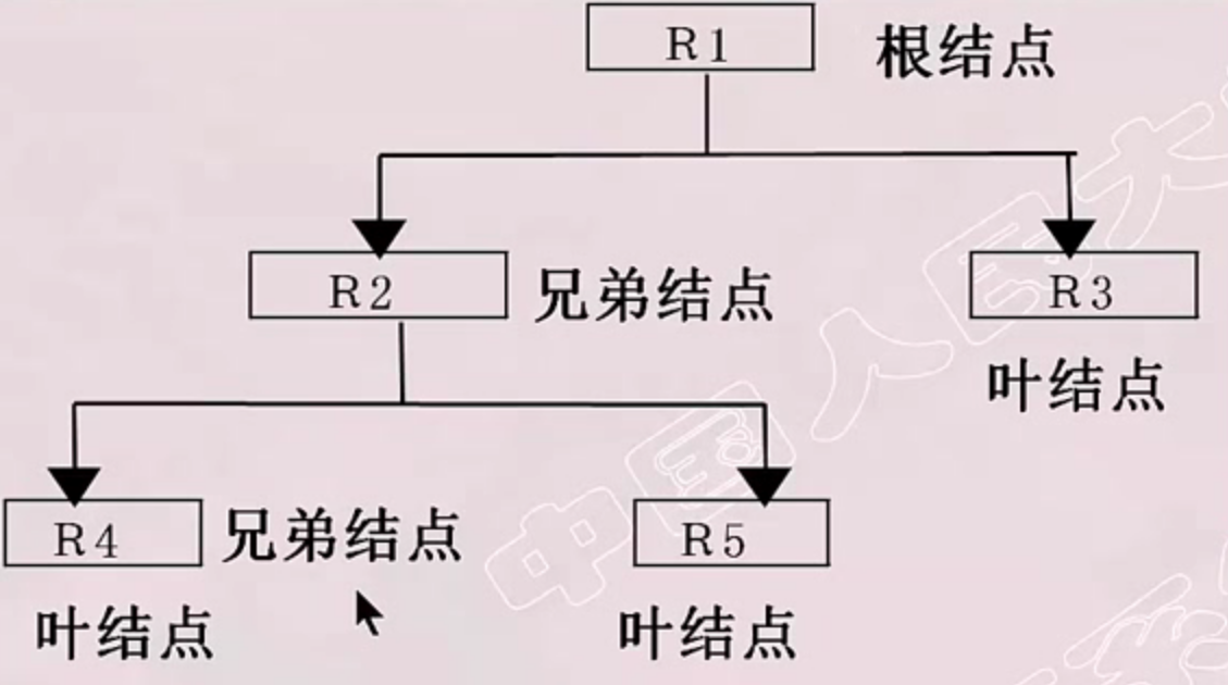 P4 数据库系统概论——常用的数据模型