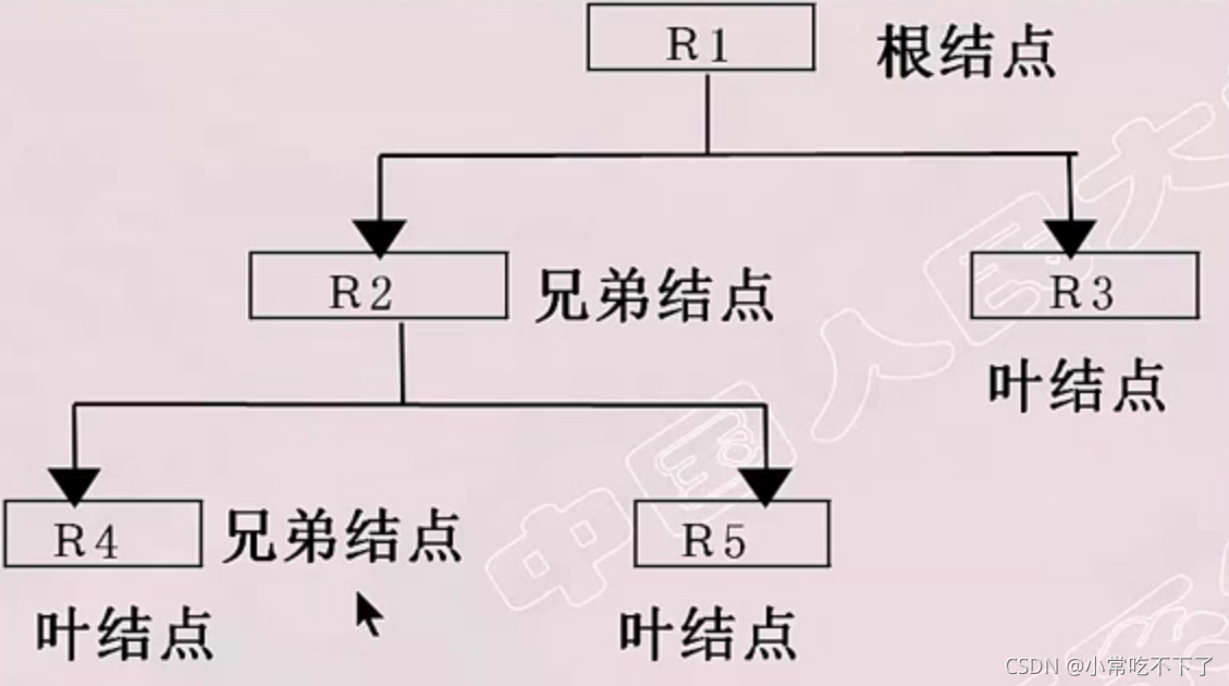 P4 数据库系统概论——常用的数据模型