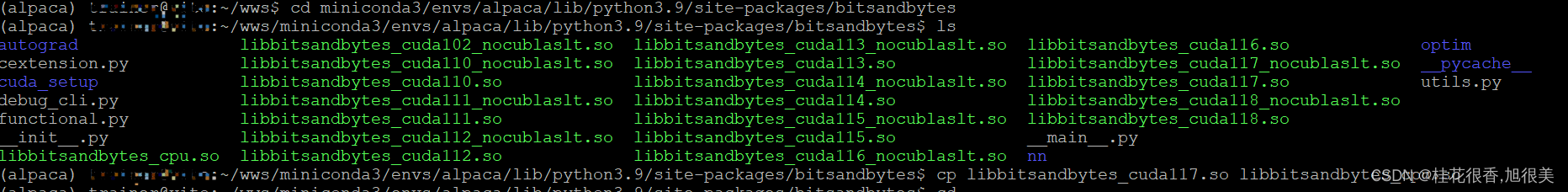 bitsandbytes/libbitsandbytes_cpu.so: undefined symbol: undefined symbol ...