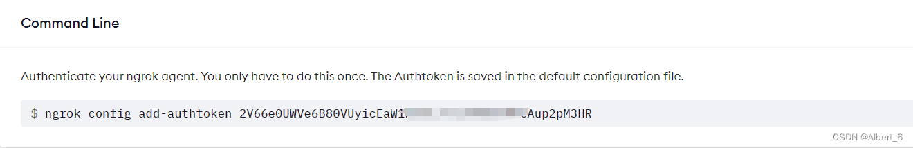 ngrok authtoken <令牌值(token)>