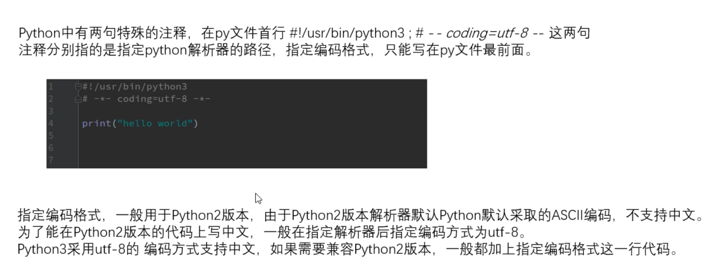 Python编程-注释_python中制作词表编程的注释-CSDN博客