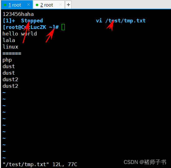 Linux学习-51-进程间通信和终止线程命令