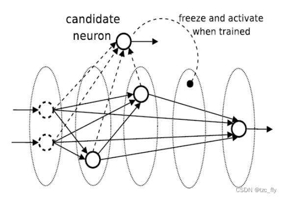 fig1