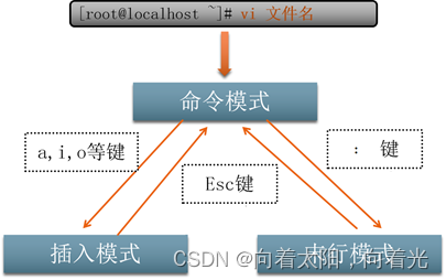 Linux 之 vi 文本编辑器（二）