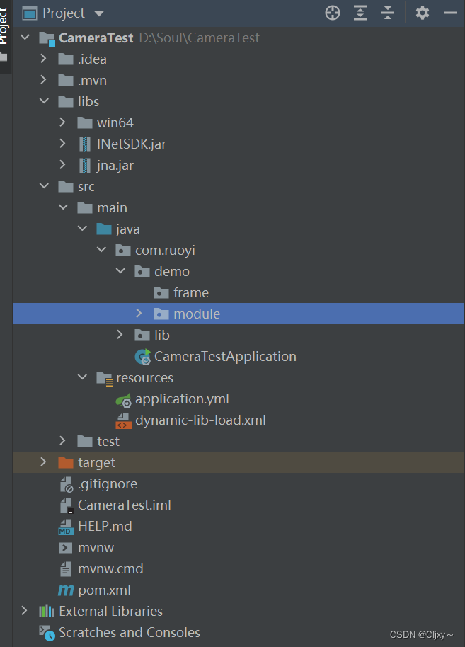 大华SDK+JAVA+4g网络摄像头进行二次开发_springboot中集成大华摄像头-CSDN博客