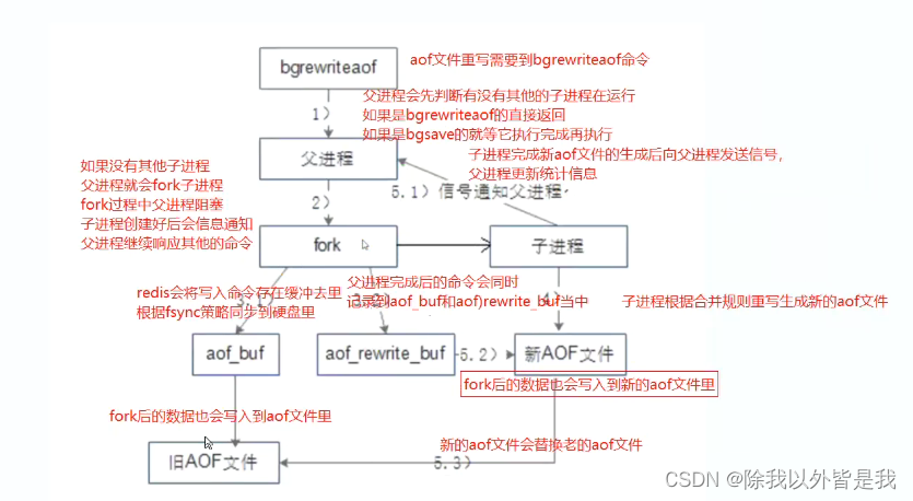 简单认识Redis 数据库的高可用