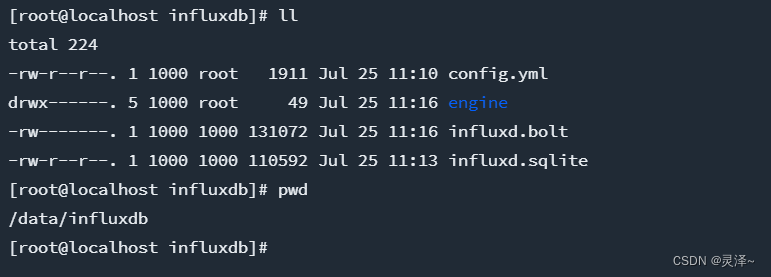 （二）安装部署InfluxDB