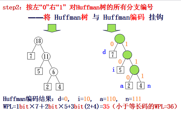 [外链图片转存失败,源站可能有防盗链机制,建议将图片保存下来直接上传(img-S9xCYfbA-1641217649135)(myReviewPicture/huffmantree2.png)]