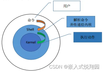 Linux中shell的使用 零基础学习笔记 嵌入式悦翔园的博客 Csdn博客