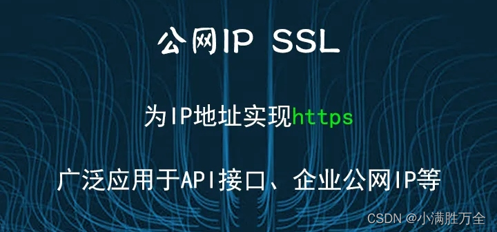 IP地址<span style='color:red;'>SSL</span><span style='color:red;'>证书</span>