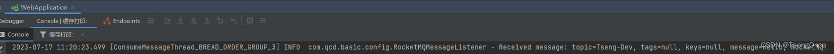 RocketMQ 5.1.0 在java中的使用