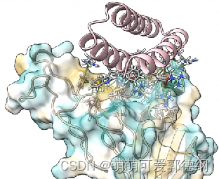 Rosetta从头蛋白抗体设计、结构优化及在药物研发中的应用专题