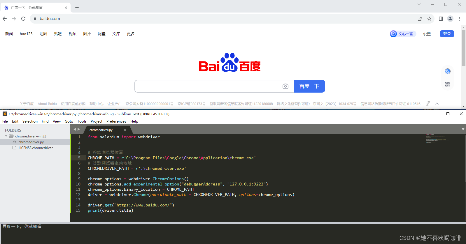 Selenium 连接到现有的 Google Chrome 示例