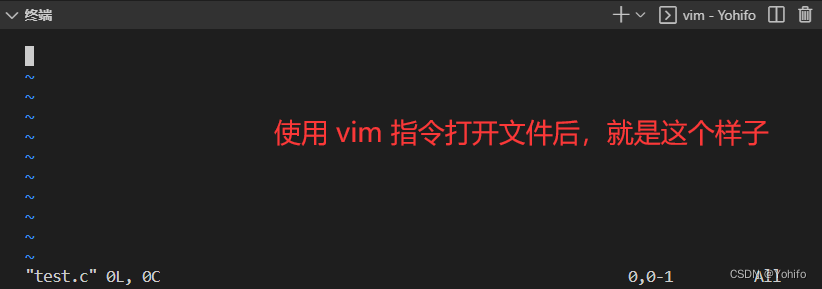 打开 vim