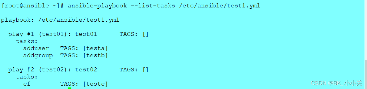 Ansible Playbook BK