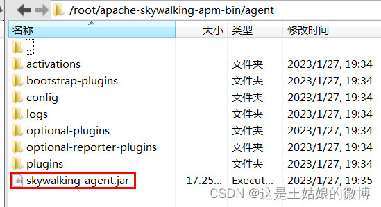 分布式链路追踪SkyWalking进阶实战之RPC上报和WebHook通知(三)