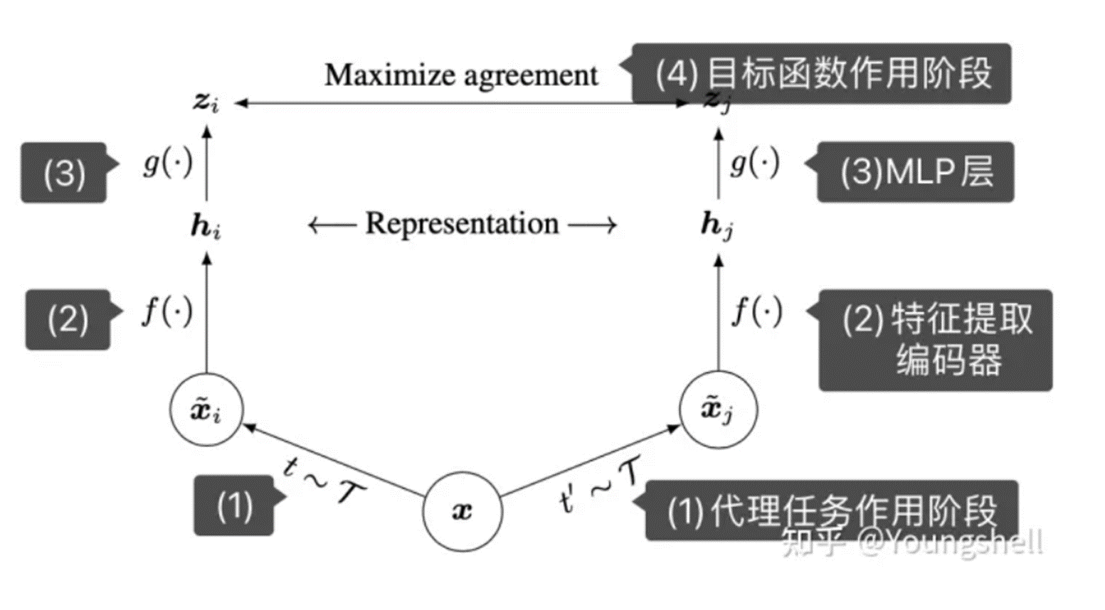 基于pytorch的神经网络与对比学习CL的训练示例实战和代码解析