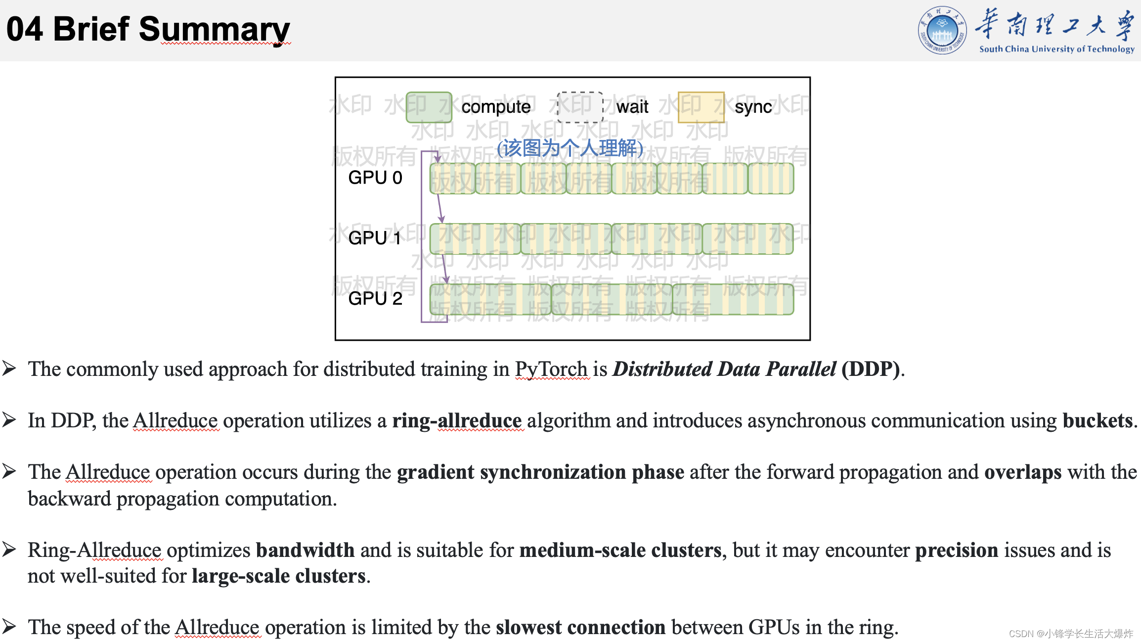 【笔记】PyTorch DDP 与 Ring-AllReduce