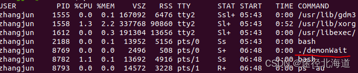 TCP/IP网络编程(8) 基于Linux的多进程服务器